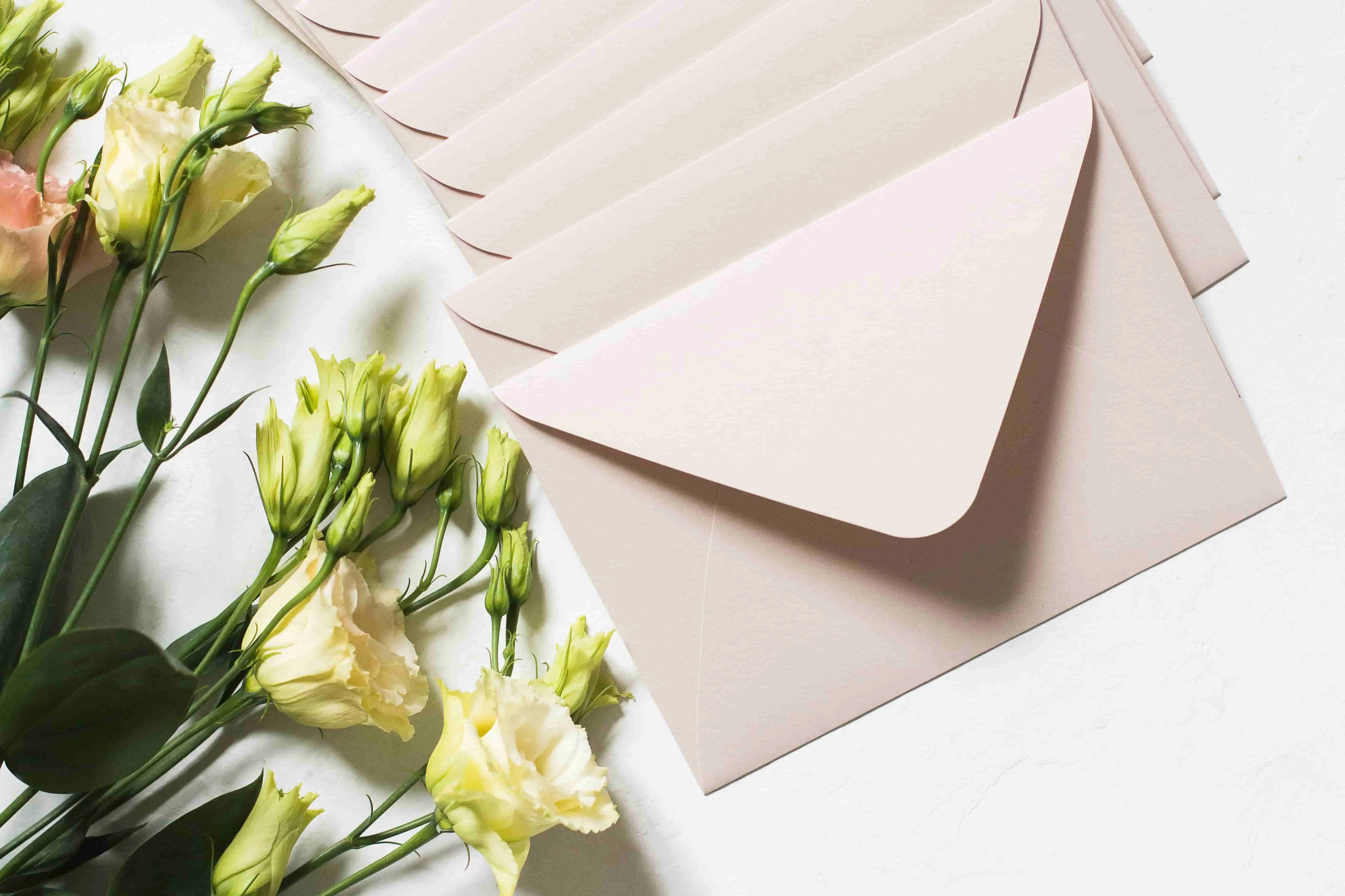The Wedding Invitation Trend: Mailing Brands for a Little Magic
